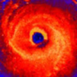 Meet your Posher, Katrina